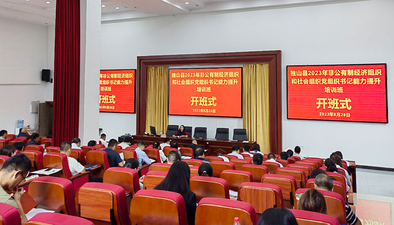 党務(wù)培训强本领  强基固本促提升 — 公(gōng)司党支部参加独山(shān)县非公(gōng)党组织党務(wù)工(gōng)作(zuò)能(néng)力提升培训